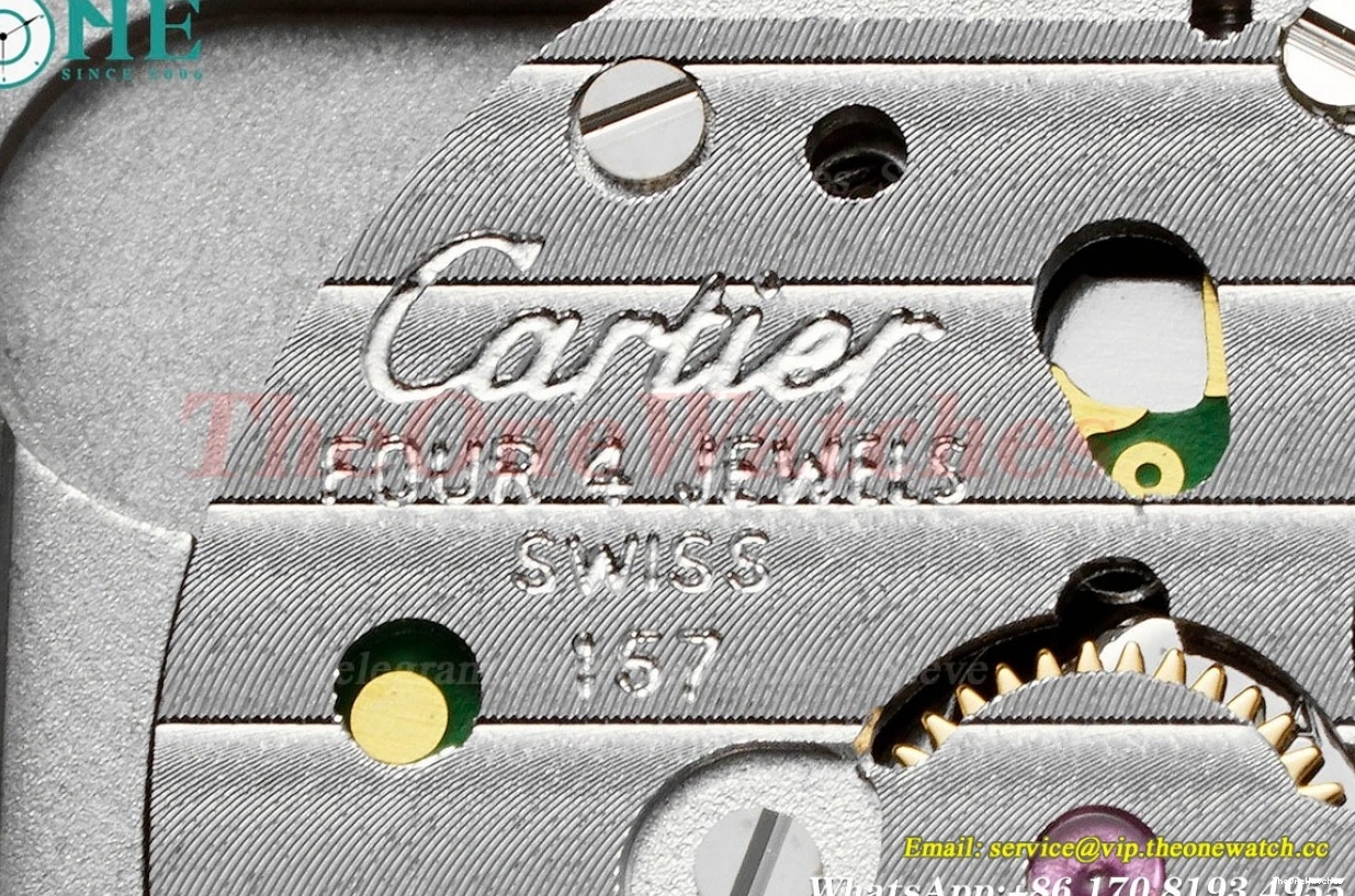 LE AF Dumont RG Silver Dial Brown Santos Quartz 1203